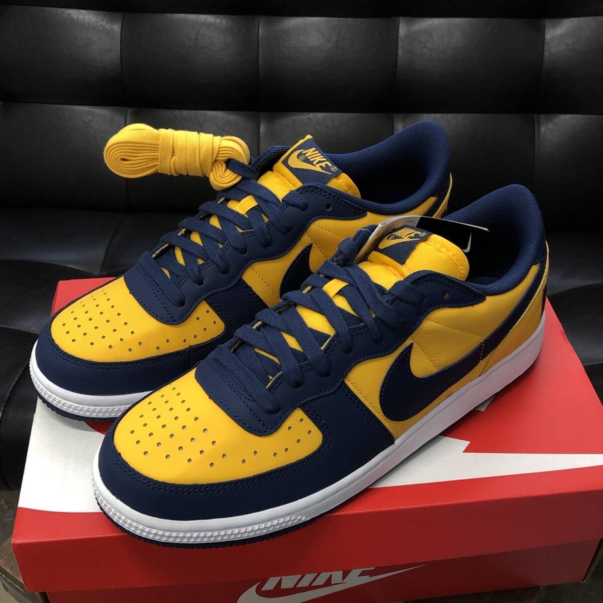 GQ384◇NIKE : TERMINATOR LOW OG FJ4206-700◇27◇定価￥15400 