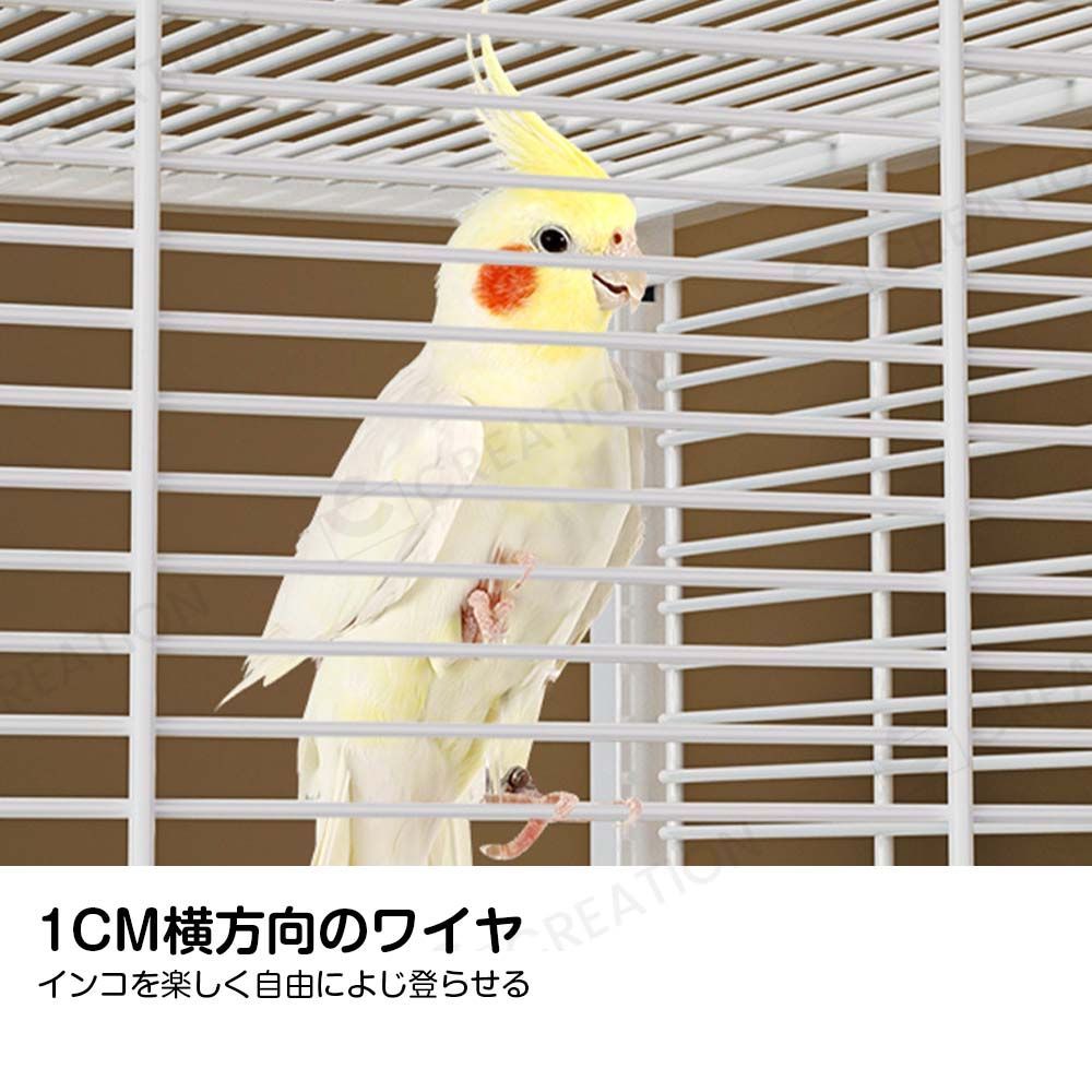 インコ