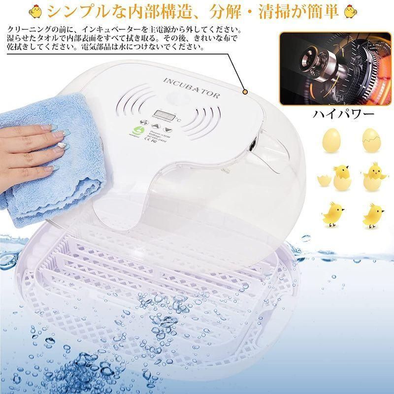 16個入卵