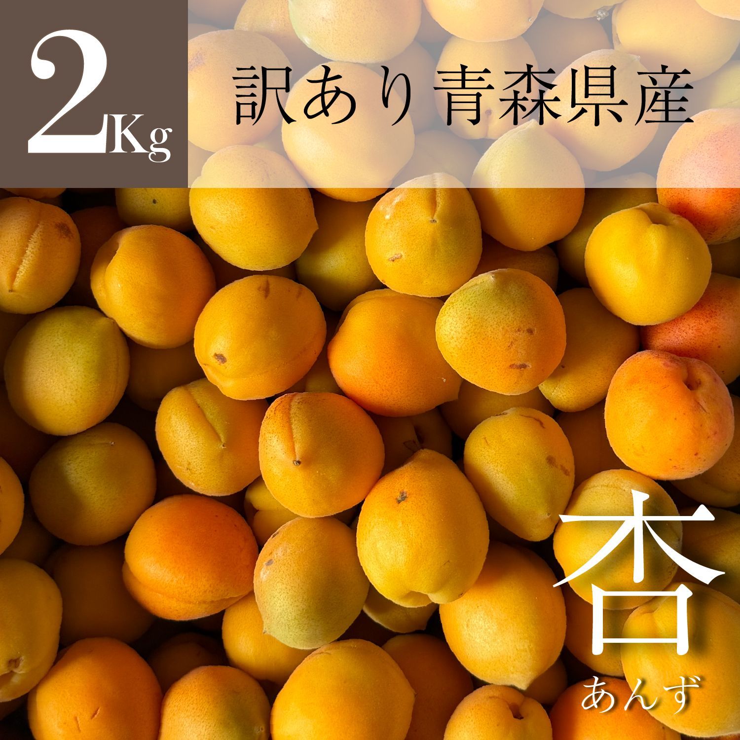 【北海道～関西エリア限定】　訳あり　青森県産　無選別　完熟あんず（杏子）　2Kg　※クール便