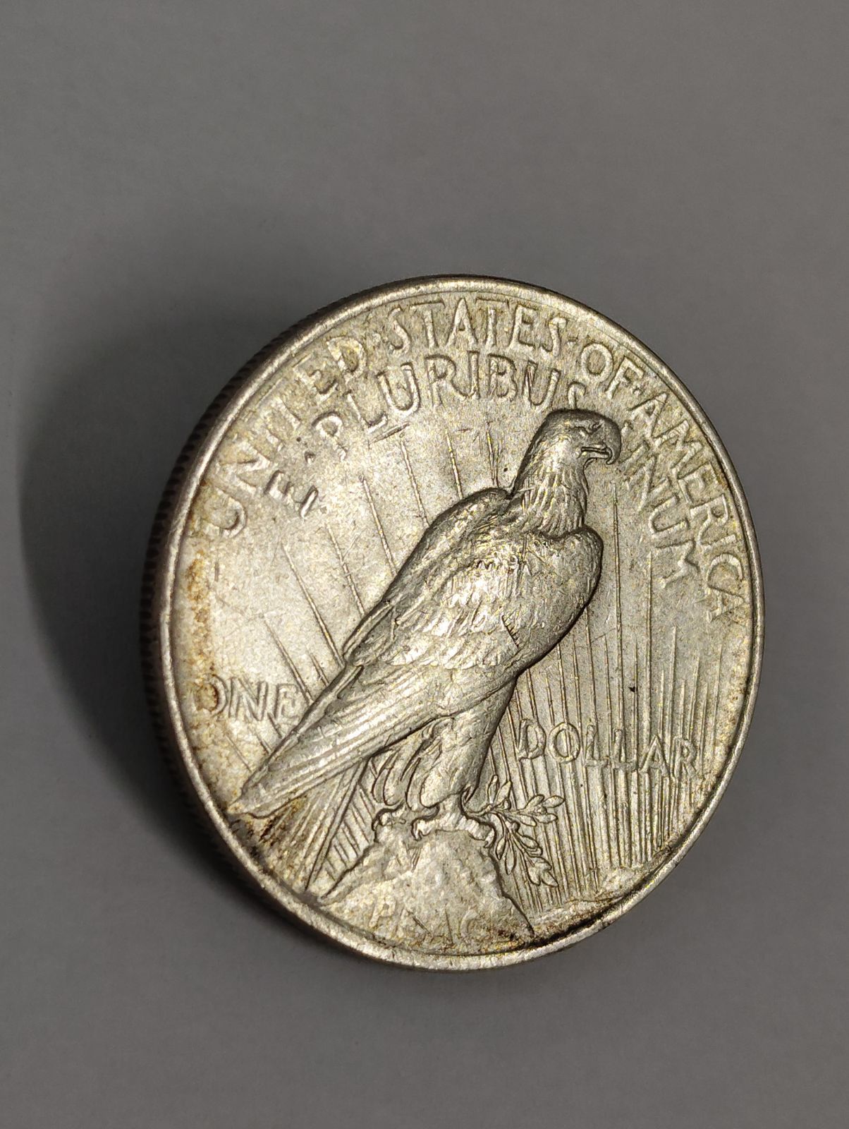 1900年 P PCGS MS67 モルガン銀貨 素晴らしい色 1900 モーガン