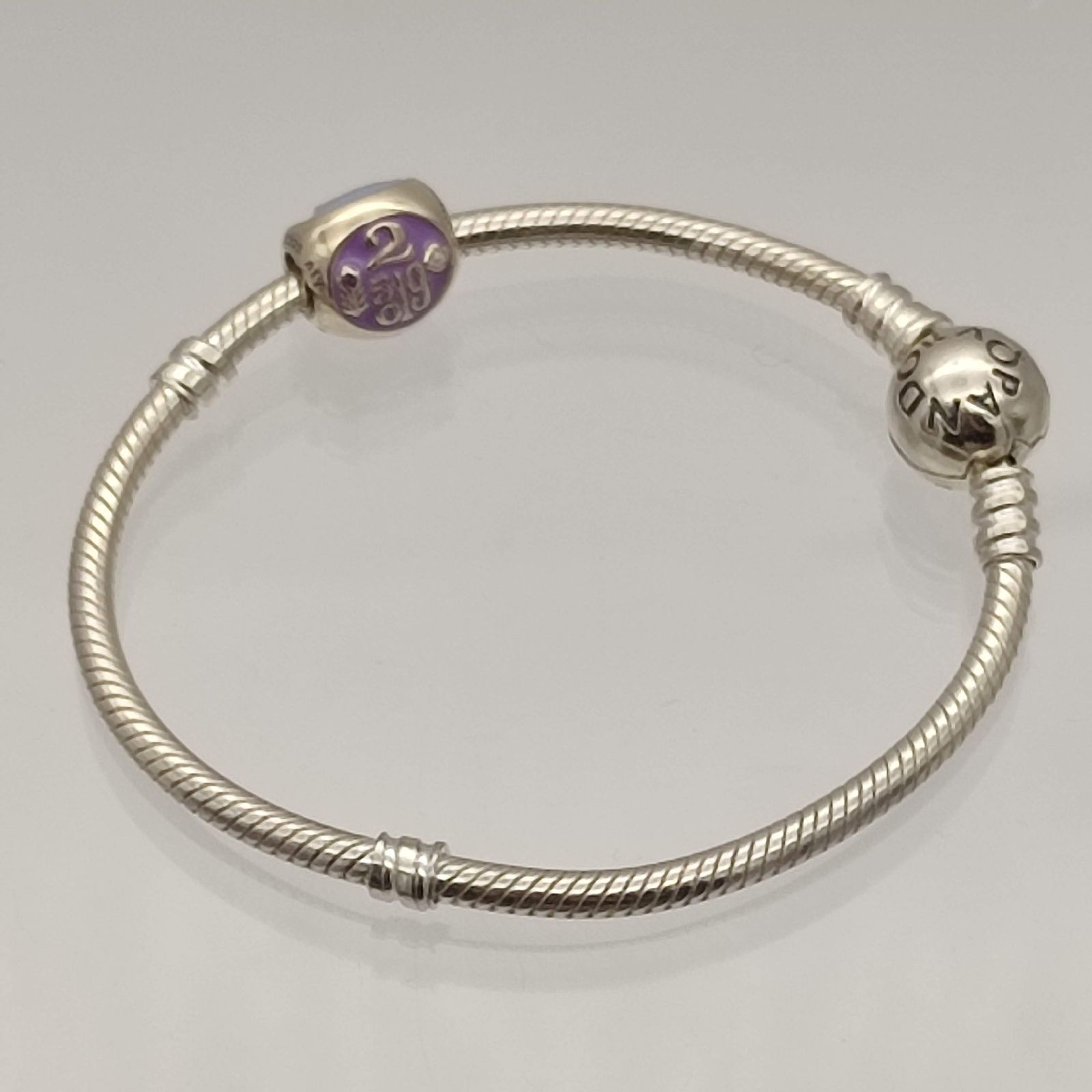 美品】PANDORA×Disney パンドラ ディズニー チャーム パーク限定
