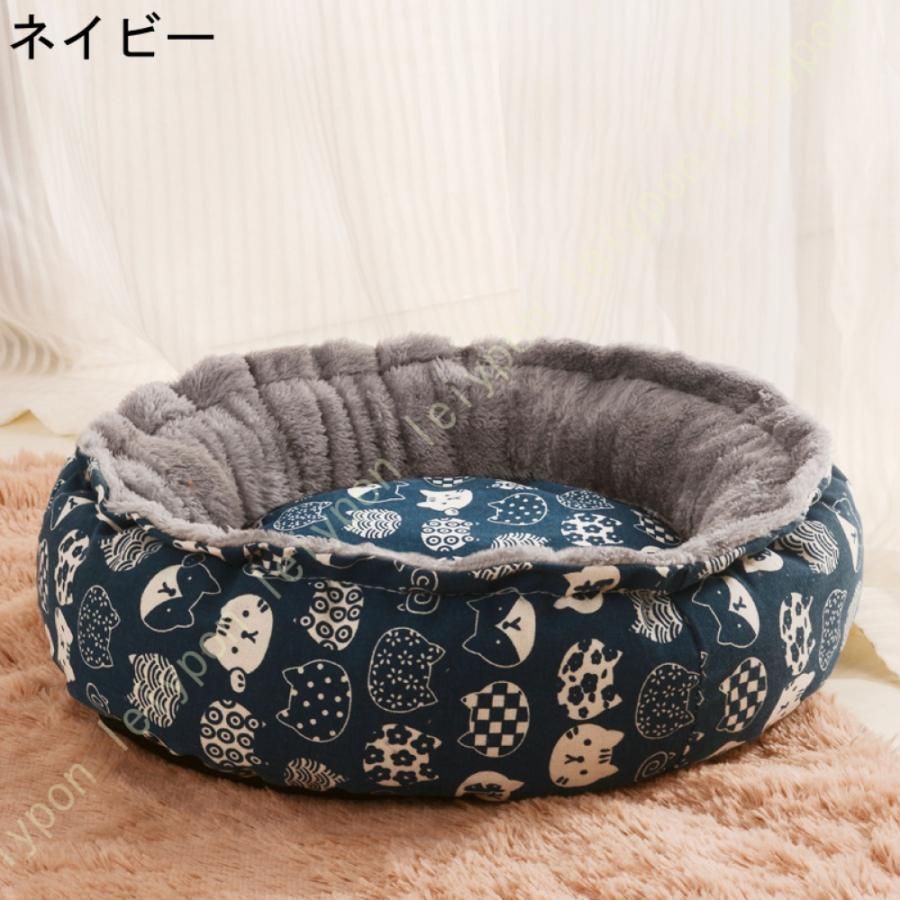 寝心地よい 耐噛みCYB52今週注目