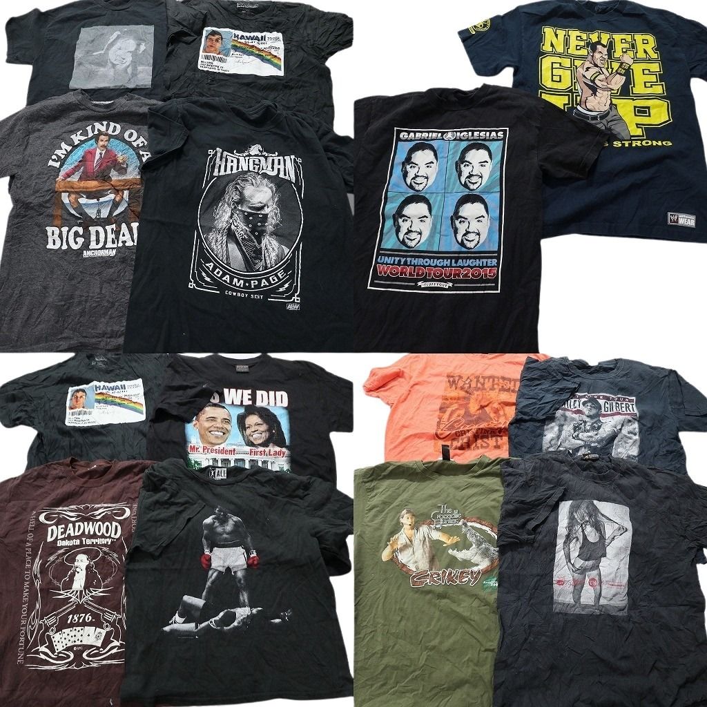 古着卸 人物 半袖Tシャツ 14枚セット メンズ Ｍ |Ｌ スーパーバッド オバマ モハメドアリ 古着 NB0846