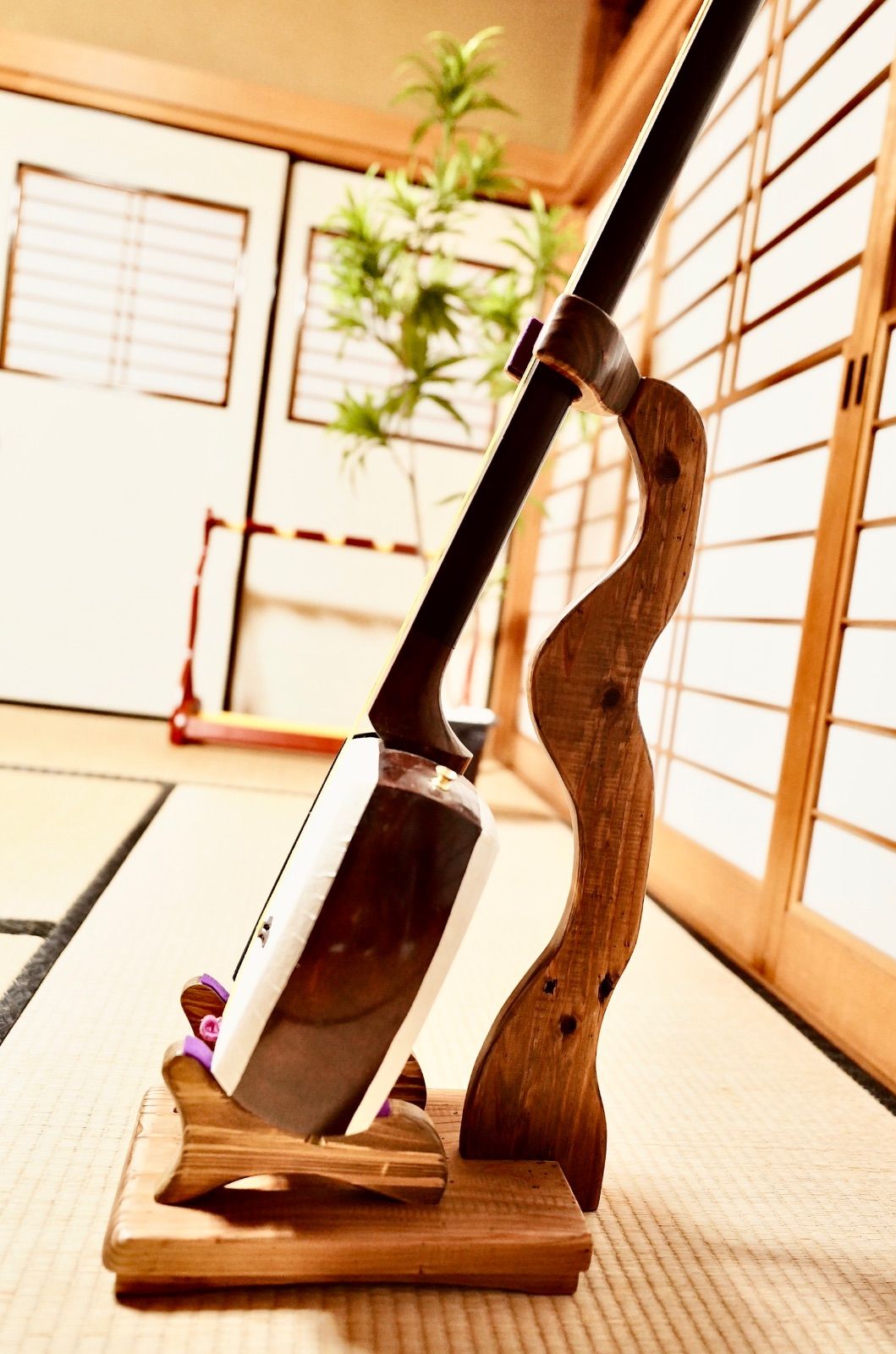24時間以内に発送