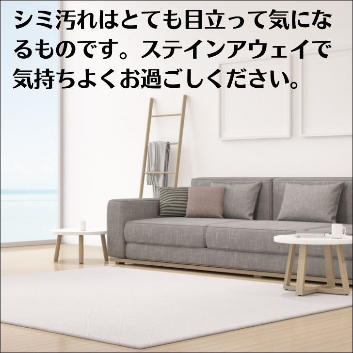 ステインアウェイ500mlスプレー カーペット布ソファー用シミ取り洗剤