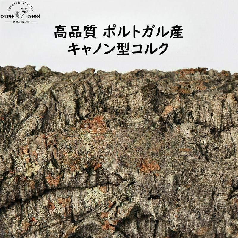 D030 ポルトガル産 キャノンコルク コルク樹皮 コルク板 バージンコルク 送料無料 チランジア ビカクシダ 着生ラン 両生類 爬虫類