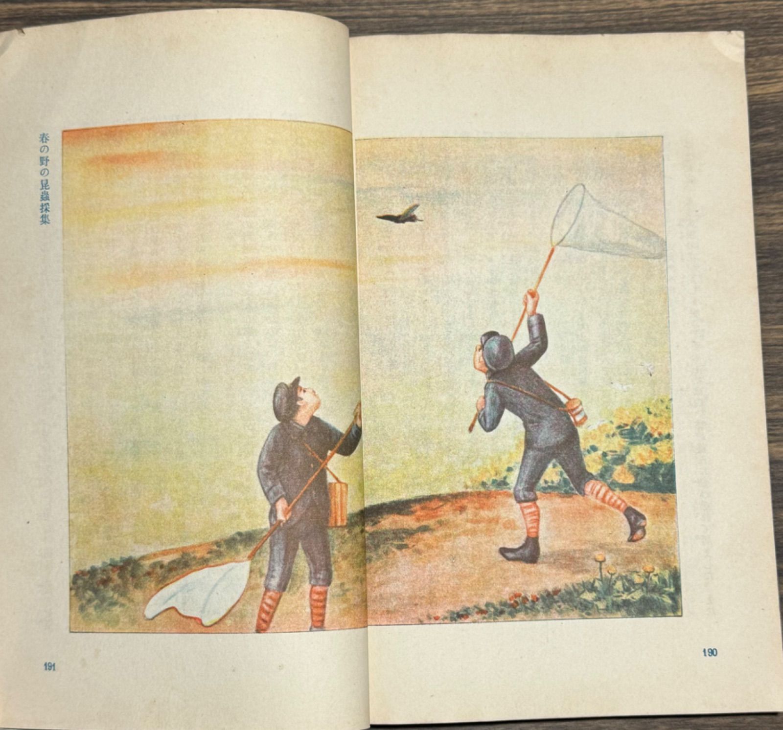 初版】戦前古書原色日本の甲蟲農学博士横山桐郎昆虫昔の図鑑戦前