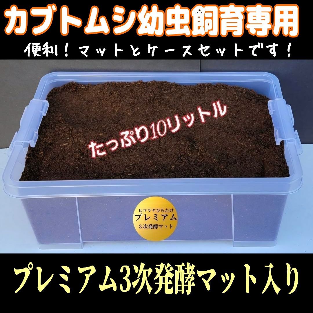 カブトムシの幼虫を入れるだけ！ 便利です！ケースにマットが入って