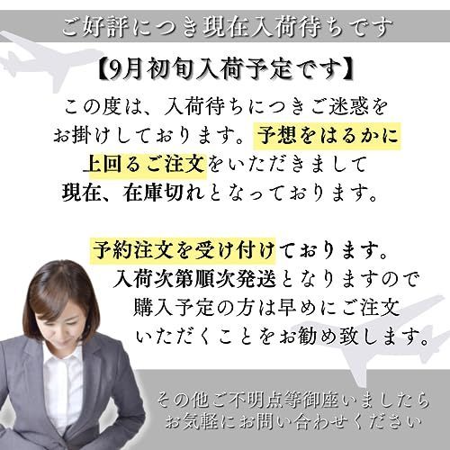飛行機 車