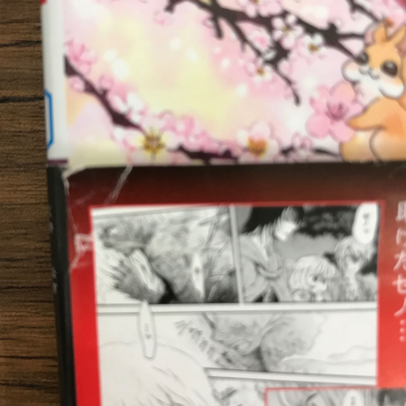 暁のヨナ 7巻 イラスト入りサイン本 yona_sign.jpg?impolicy=lt&