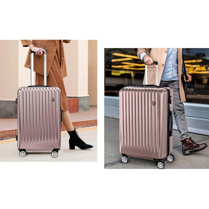 プロテックスCR-7000 -PROTEX HARD CARRYING CASE オンライン