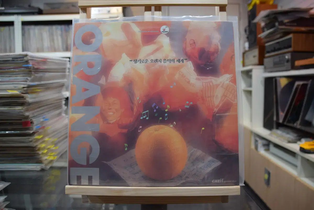 パク ジニョン J.Y. Park 2 家 ミント 求婚者