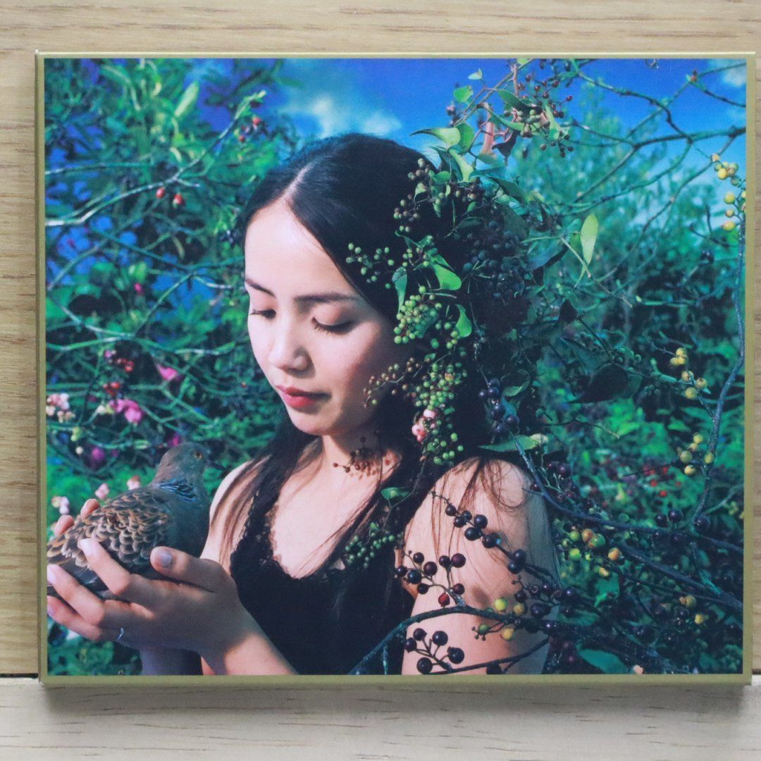 国内盤CD☆元ちとせ/Chitose Hajime□ ハナダイロ (初回生産限定