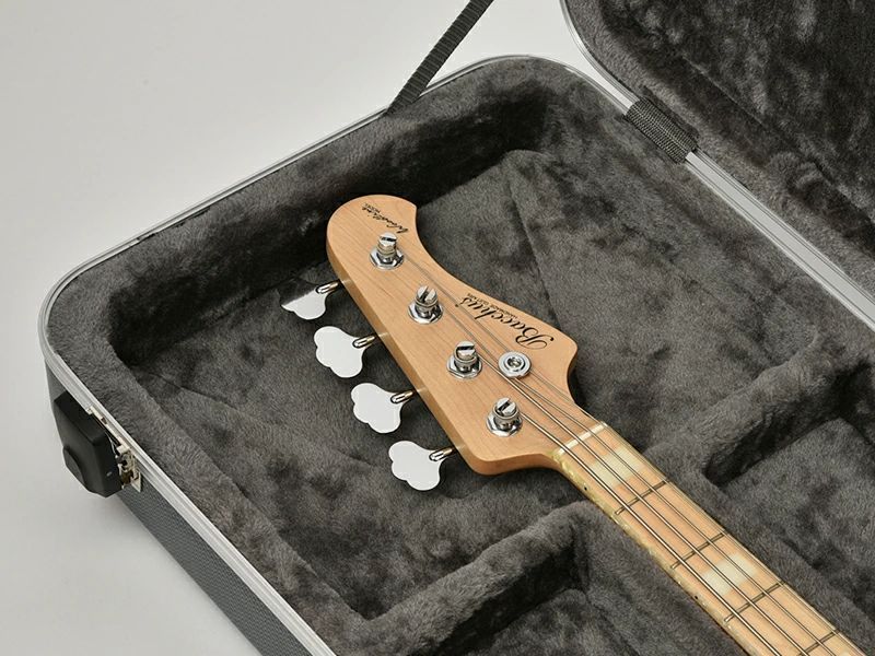 Deviser ディバイザー エレキベース用 ABS Hardcase ハードケース DEB-200TSA DEB200TSAケース ベース用 DEB200 TSADEB-200TSA IMPECCABLEHEALTHCARESERVICES_COM