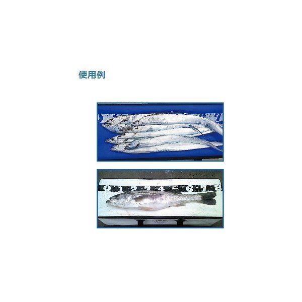 青物用クーラーバッグ