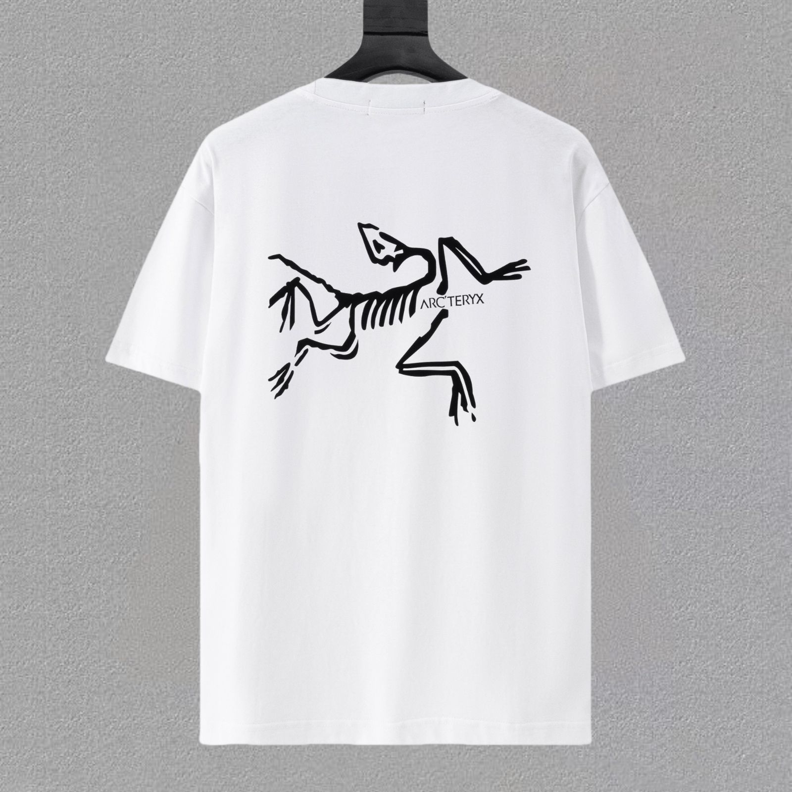 今日 Arcteryx アークテリクス 25ss プレミアムプリント T シャツ