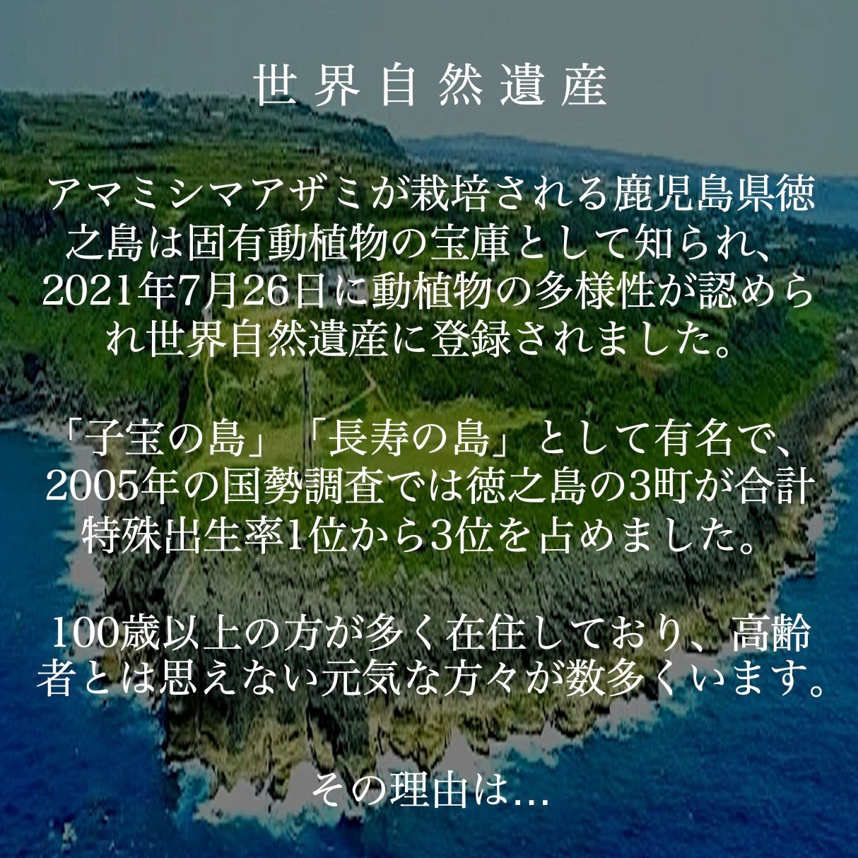 自然の力で全身リニューアル