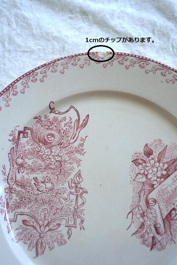 フランスアンティーク ペクソンヌ 鳥 PEXONNE Oiseauxのプレート22.5cm