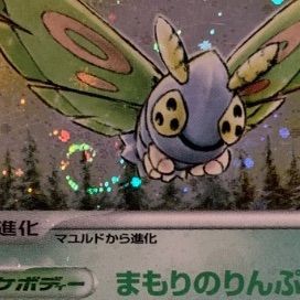 ポケモンカード ケムッソ カラサリス マユルド アゲハント ドクケイル