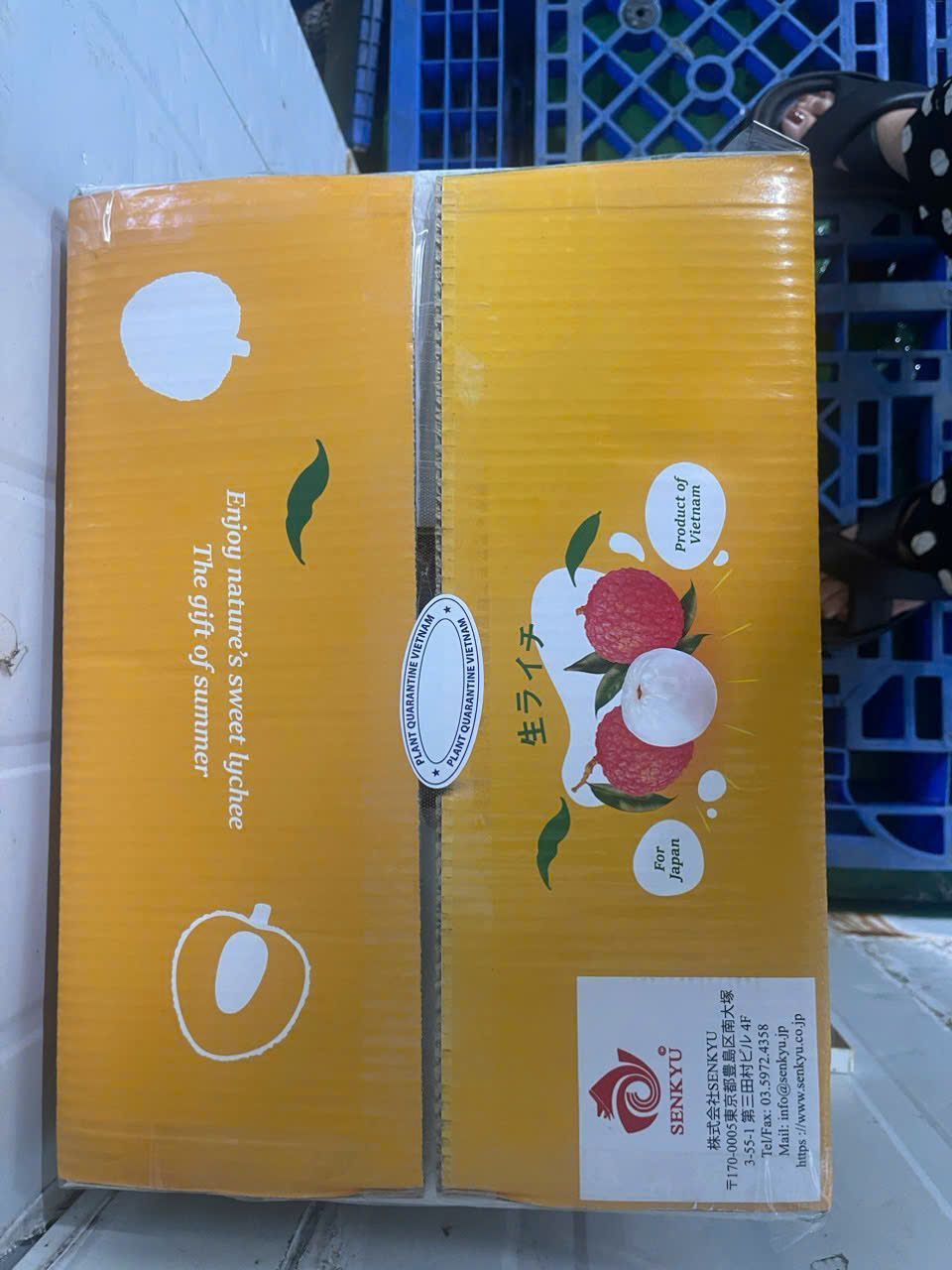 ベトナム産生ライチ 2kg 送料無料 予約受付中 - メルカリ ベトナム産生ライチ約2Kg（冷蔵発送）