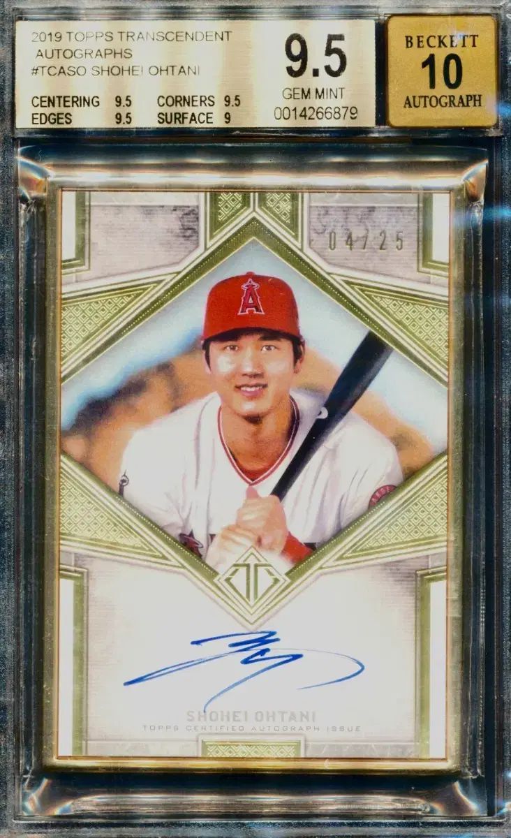 25
