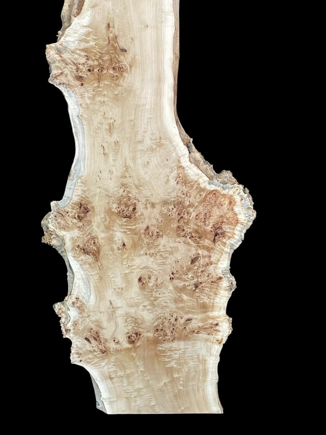  ポプラ M 173-1 レジン 瘤 一枚板 乾燥材 長尺 棚板 カウンター テーブル DIY 耳付 天板 座卓 テレビボード 木材 材料 資材