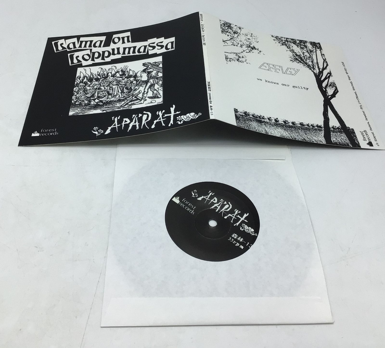 7298 【3枚セット】日本ハードコア レコード 7インチ EP /ARGUE