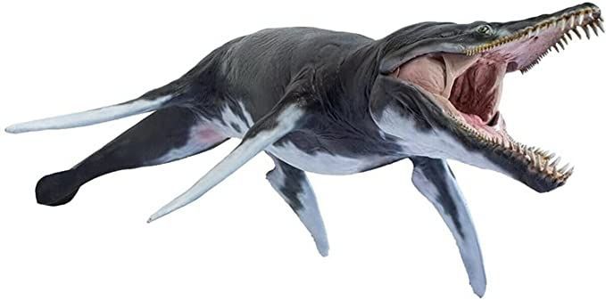 世界に一つ、不世出 スピノサウルス 1/10 木彫 頭骨模型 19㎝