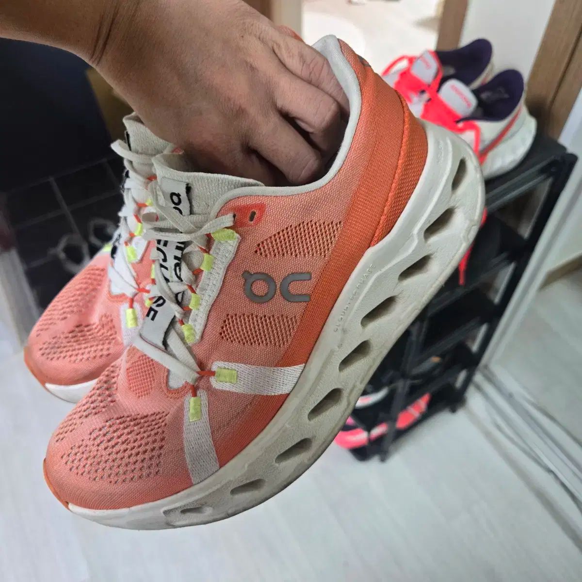 エクリプス ダホン