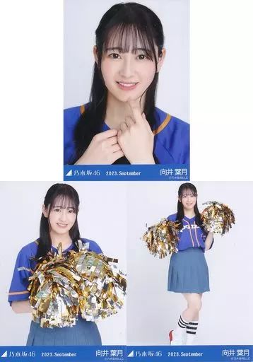 【即購入歓迎】乃木坂46 向井葉月 生写真まとめ売り 乃木坂46 生写真 向井葉月 まとめ売り - メルカリ