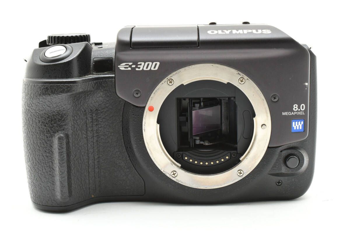 E-300 ボディ