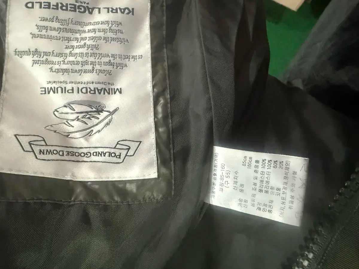 ラガーフェルド ダウン