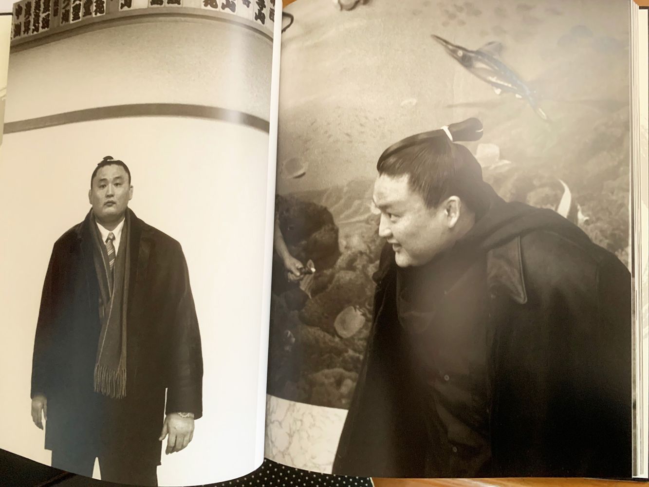貴乃花引退記念写真集ー貴乃花道ーTAKANOHANA-DO - メルカリ