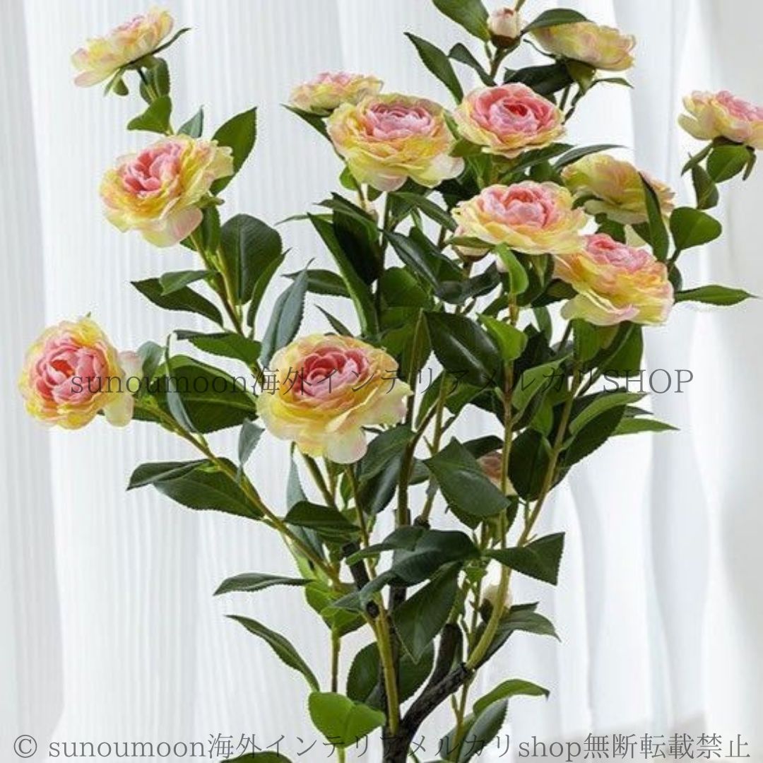 薔薇