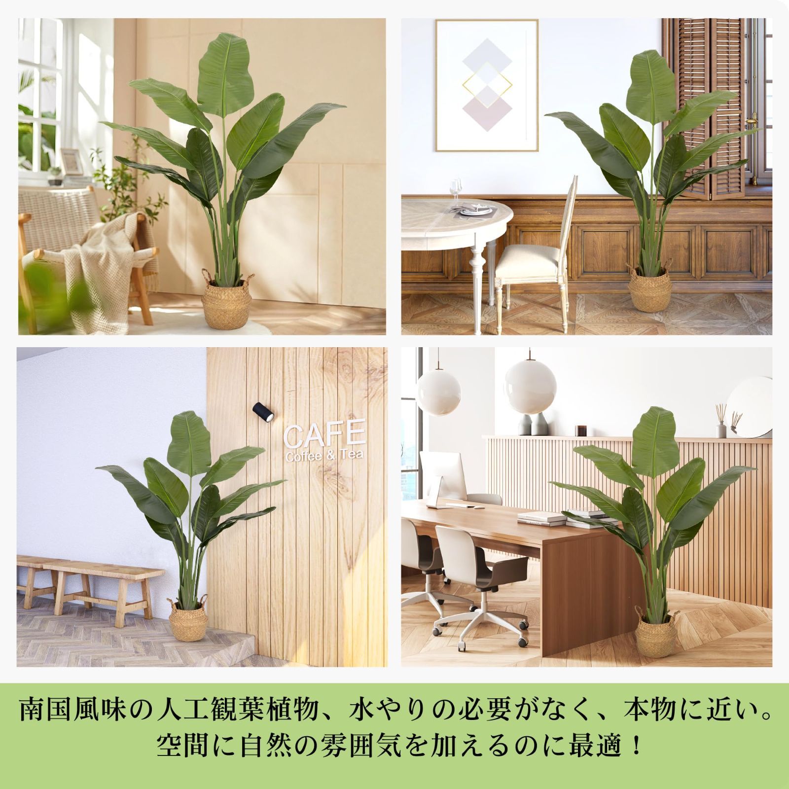 新築祝い 盆栽植物