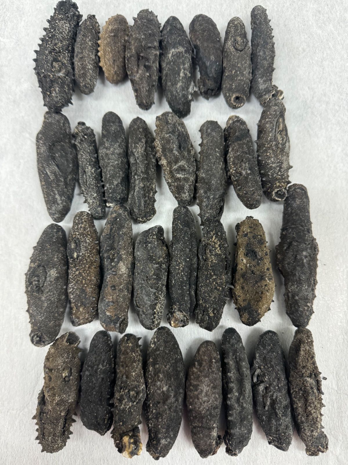 関西産A級品 乾燥なまこ ナマコ なまこ 500g入り Mサイズ 5g以上 関西