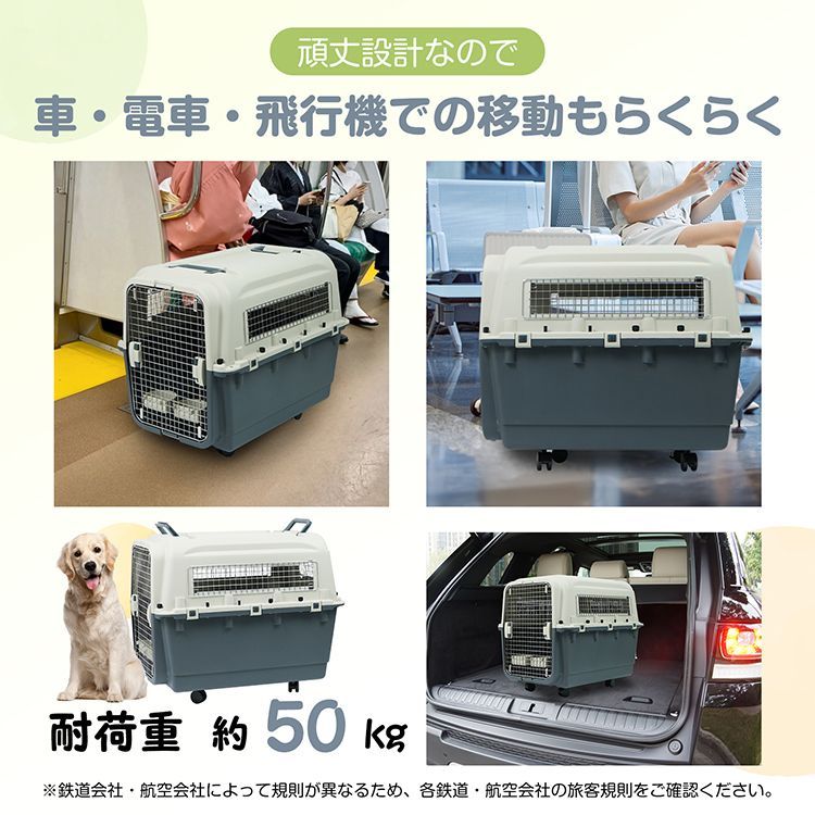 中型犬