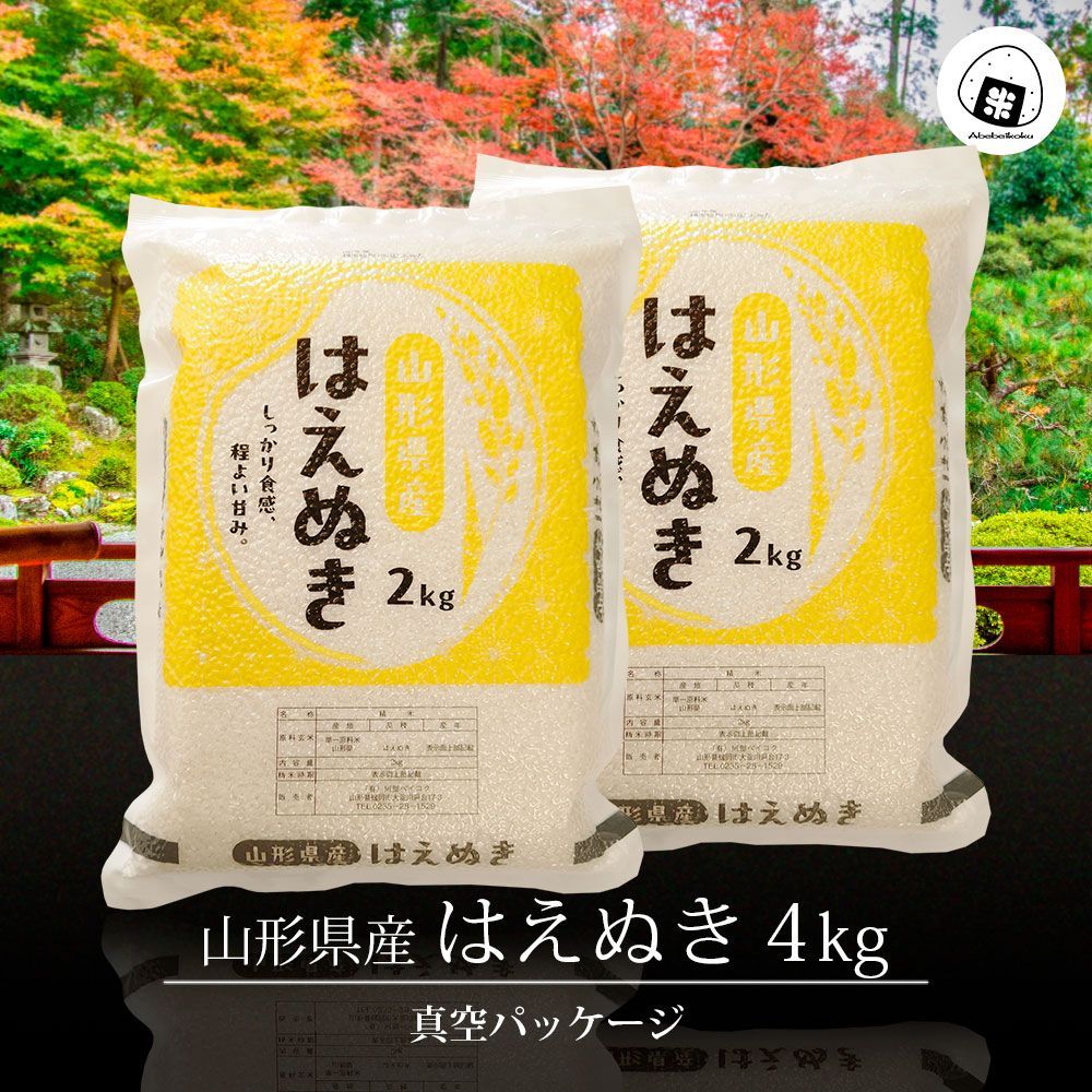 はえぬき 真空パック 4kg 山形県産 令和7年 4キロ 米