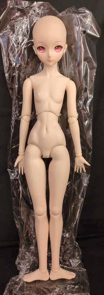 ボークス DD