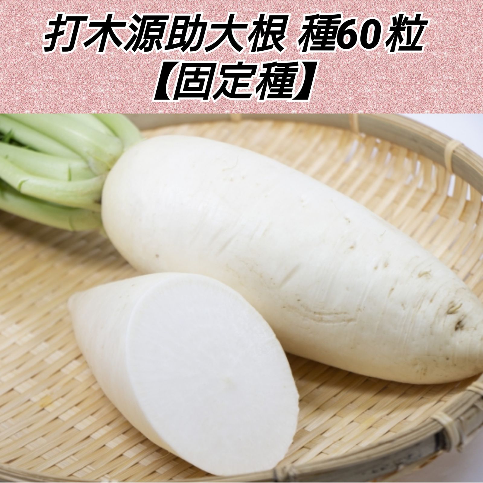 加賀伝統野菜 打木源助大根〔固定種〕 小袋（11ml）