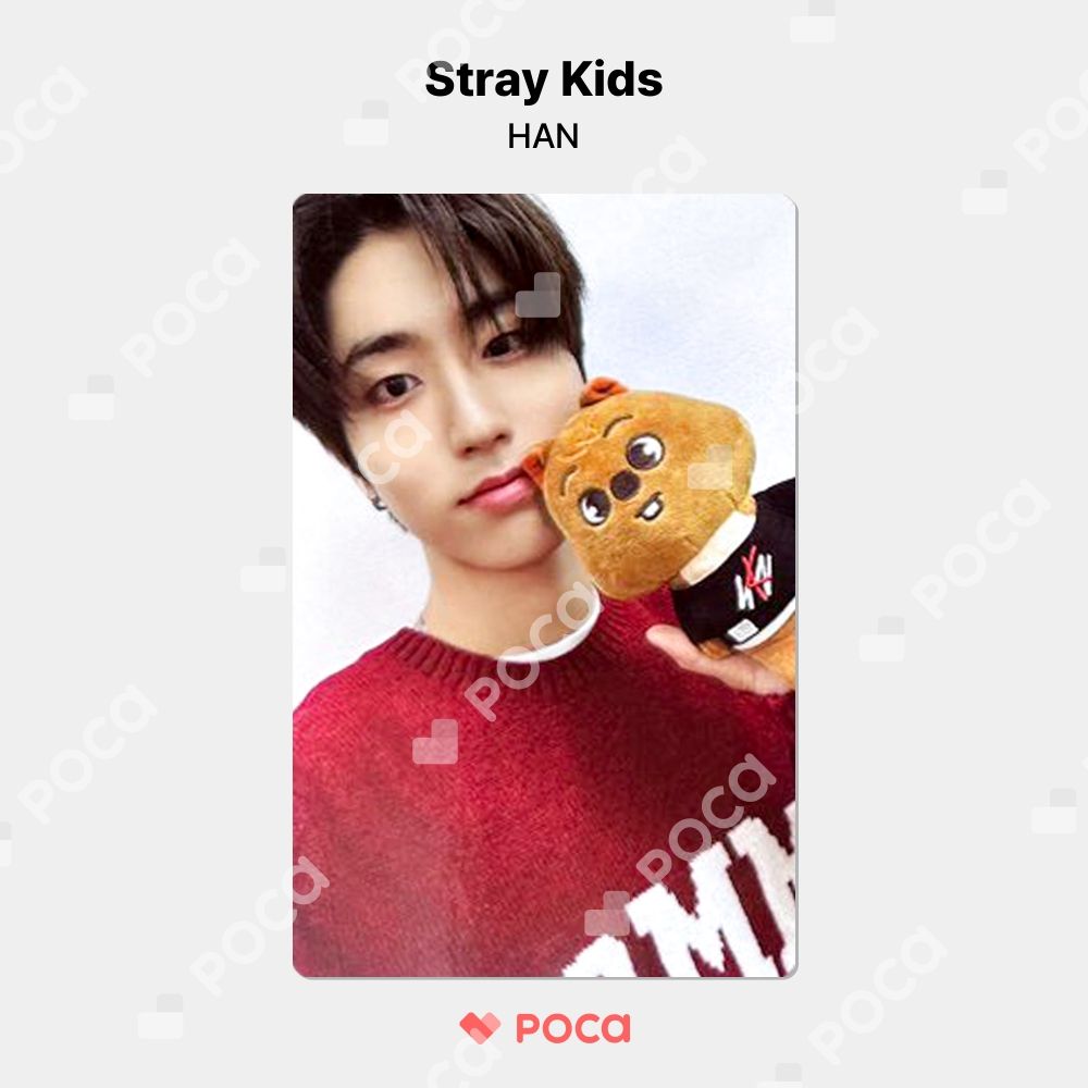 straykids 樂star 14枚セット ハンジソン : straykids スキズ HAN ハン
