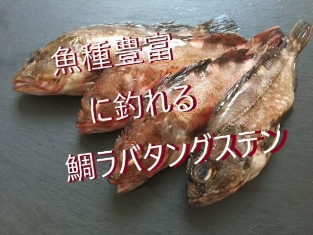 120g 150g 180g各1個 計3個 ！タイラバ タングステン ヘッド - メルカリ