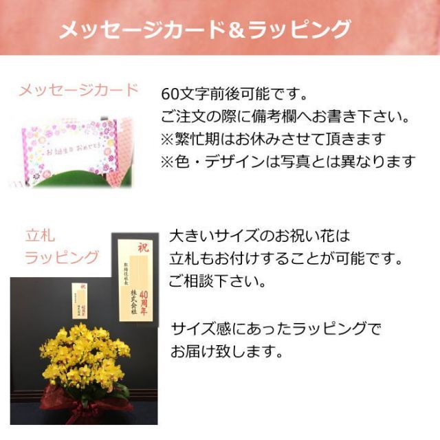 鉢花 蘭