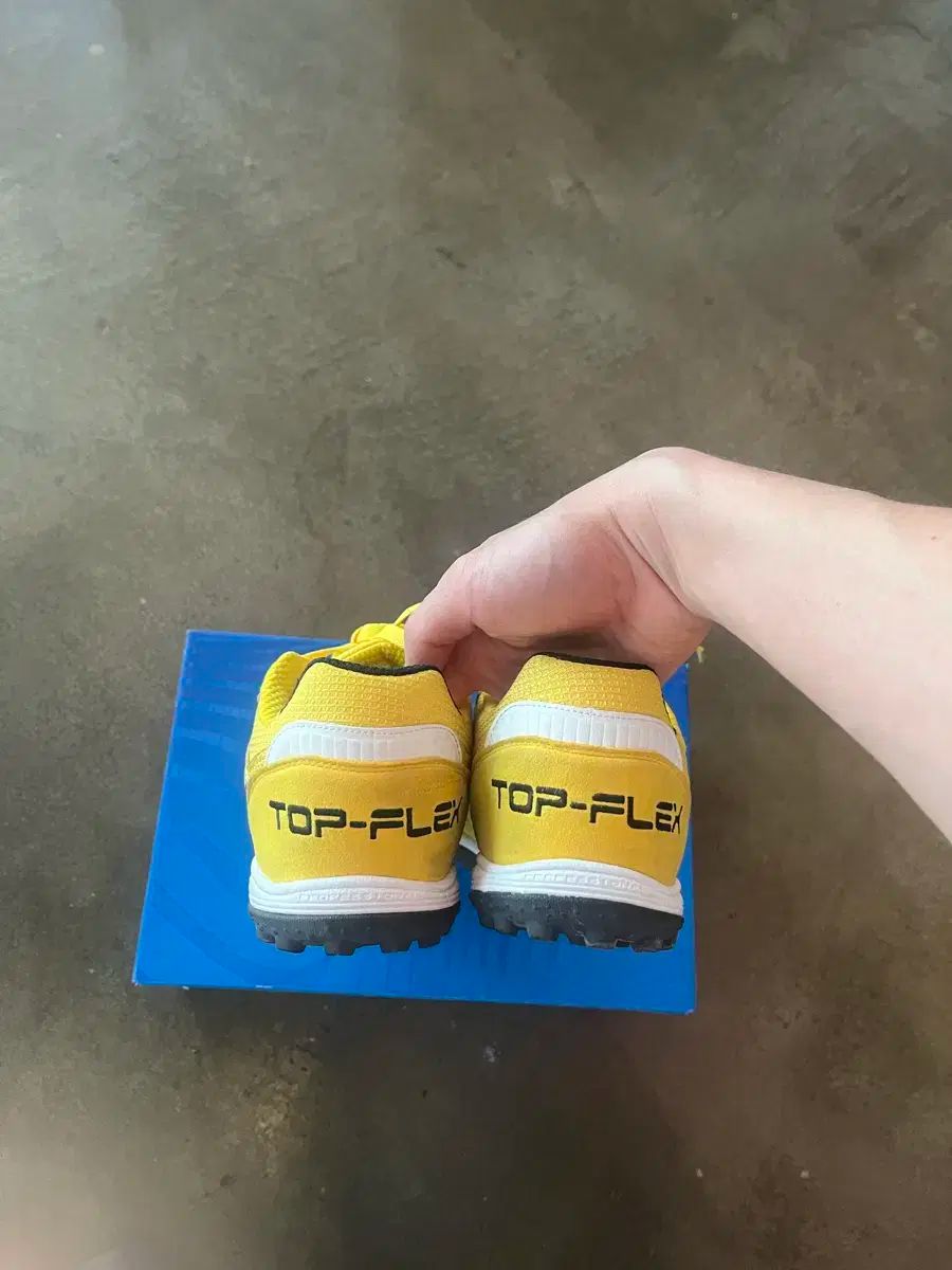ホマ