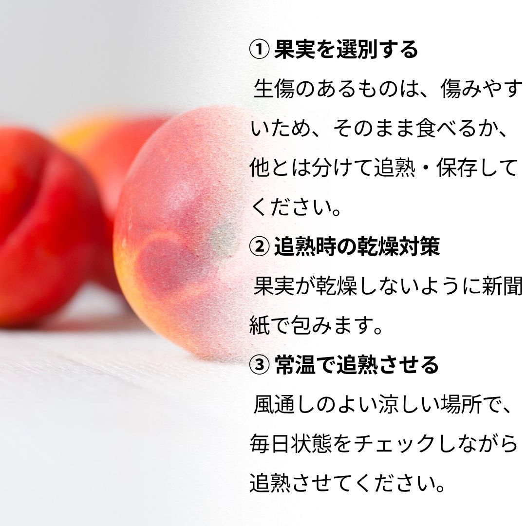 ネクタリン ～料理・加工向け～【内容量】約4.5kg【配送方法