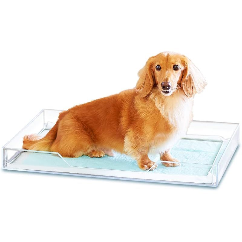 UTSUMI 内海 犬用 コーム 2025年最新】utsumiコームの人気アイテム