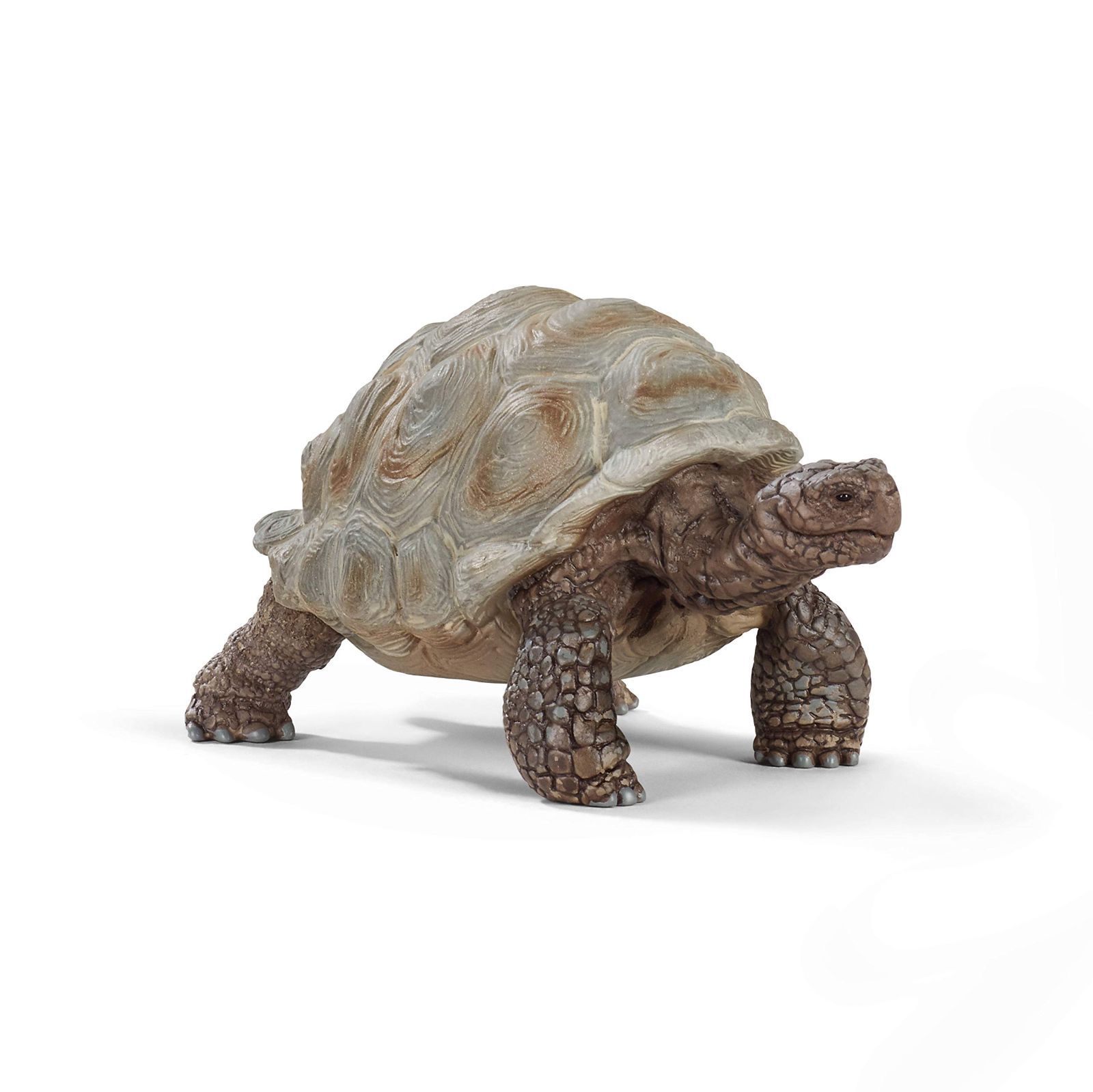 ドイツ軍ピッケルハウベ アルダブラゾウガメ フィギュア アートトイ 新着商品】ゾウガメ ワイルドライフ フィギュア シュライヒ