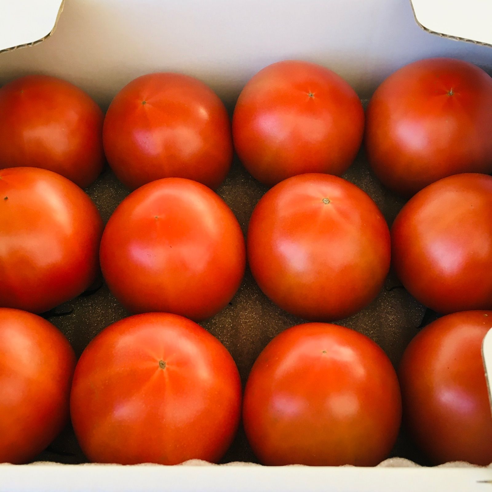 贅沢トマト🍅(ぜいたくとまと)＋α　農家👩‍🌾直送！クールメルカリ便❄60サイズ