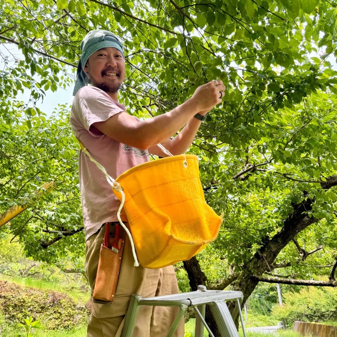 Noritake ノリタケ ポロネーズ スープ皿 5枚 155-133 Y126-907098